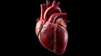 heart disease symptom recognition