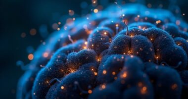 consciousness explained by science