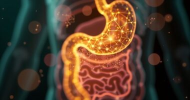 right vagus nerve digestive signaling