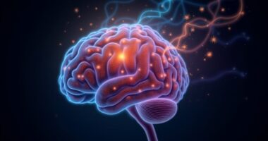 humans possess multiple senses