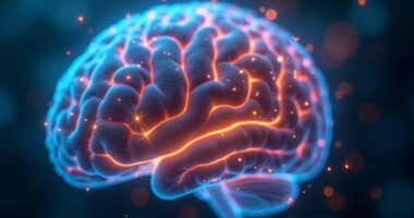 brain signals influence expressions